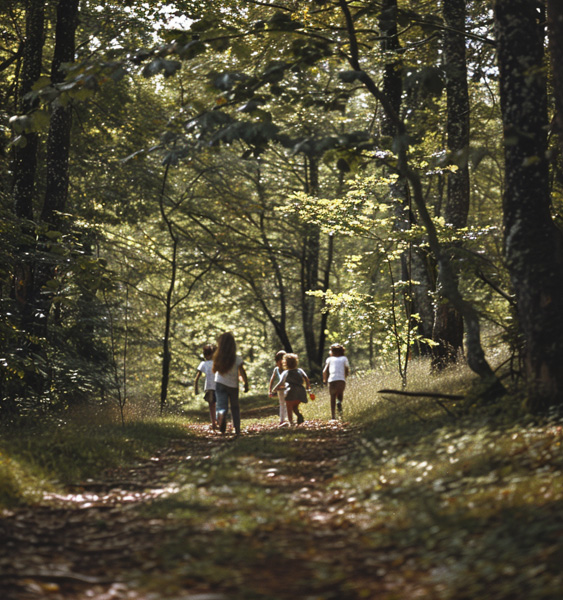 3 forêts Montessori school - Vue de la forêt