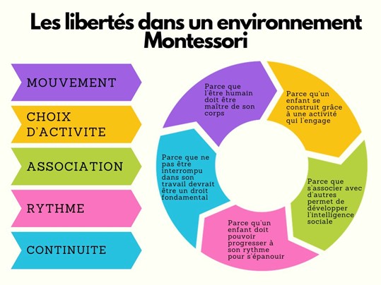 Citation Montessori